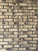 IMG_4153-e1735027485801